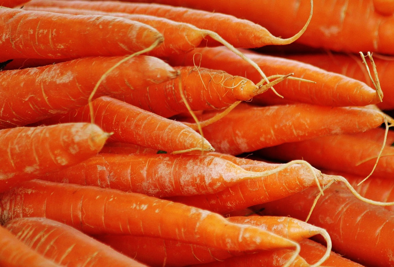 Carrot