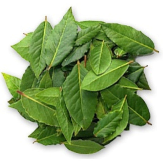 Urbanize Bay Leaves