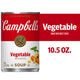 Campbell's Vegetable with Beef Stock Soup