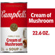Campbell's Cream of Mushroom Soup