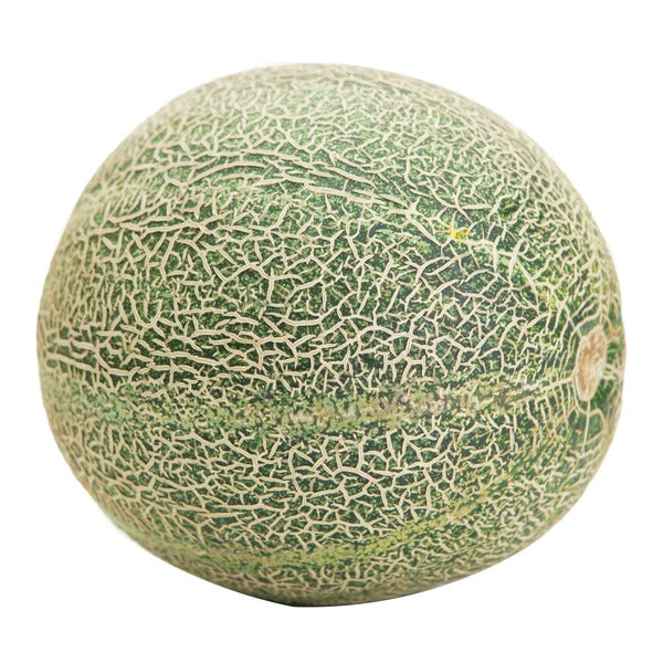 Athena Melon