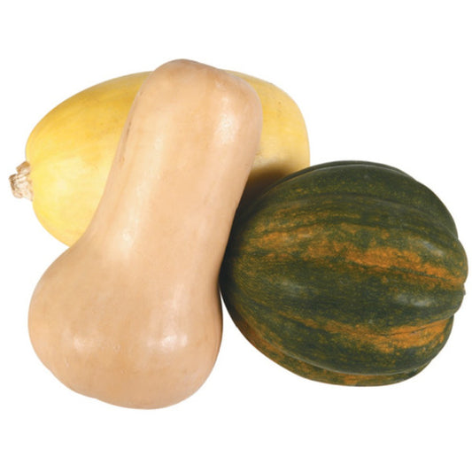 Organic Squash