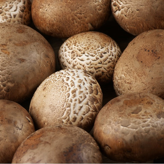 Crimini (Brown) Mushroom