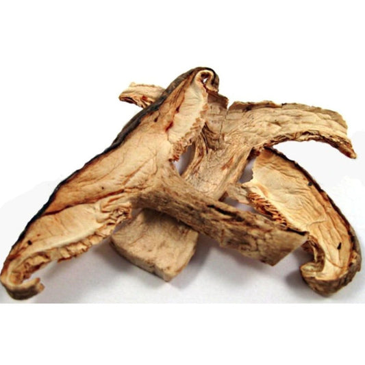 FOREST Dried Shiitake Mushrooms