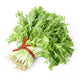 Escarole