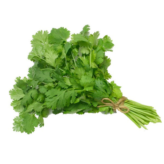 Cilantro Bunch