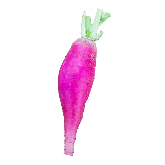Daikon Radish