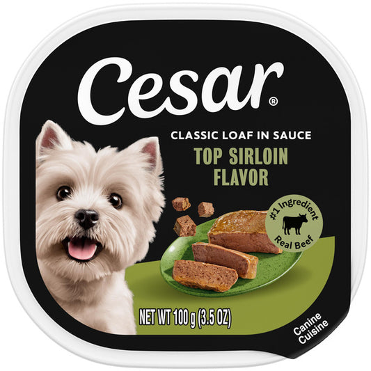 Cesar Loaf in Sauce Adult Wet Dog Food Top Sirloin Flavor, 3.5 oz. Tray