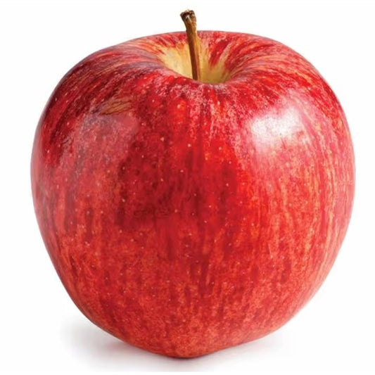 Large Gala Apples