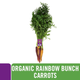Cal-Organic Organic Rainbow Carrots, Bunch
