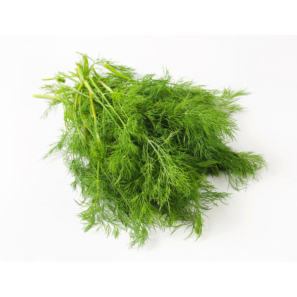 Urbanize Farm Dill