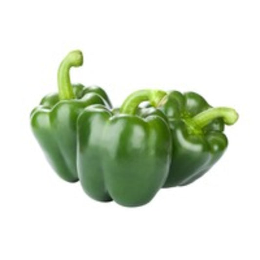 Organic Green Bell Pepper