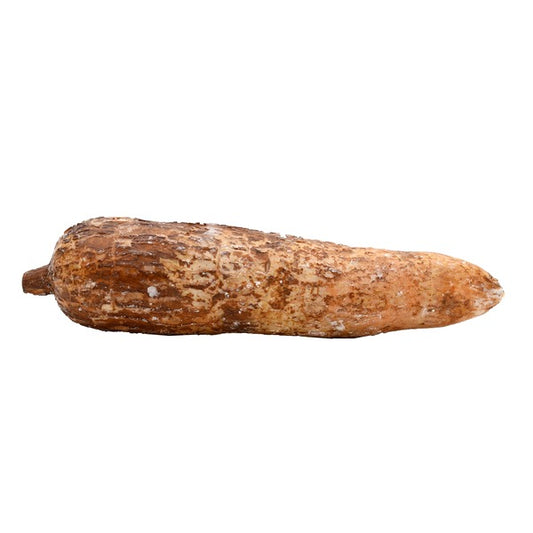 Yucca