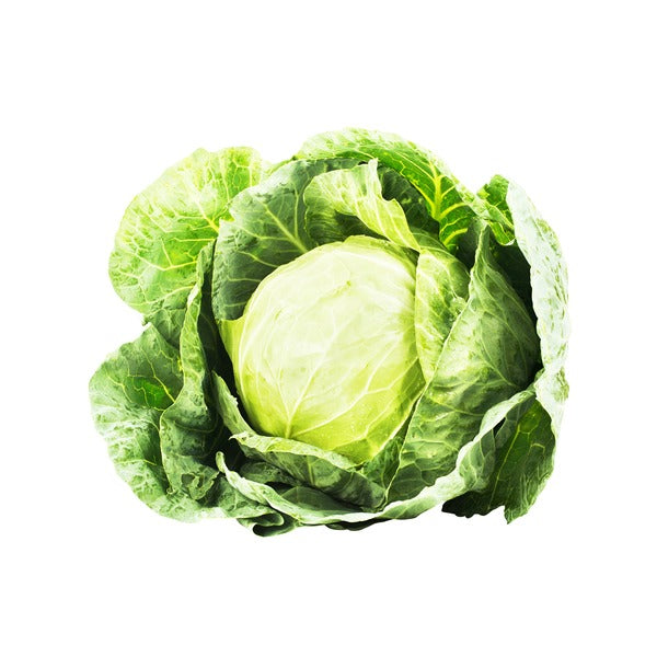 Organic Cabbage
