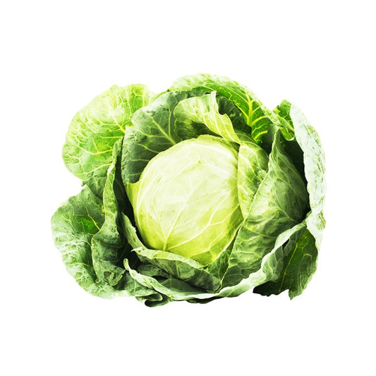Organic Cabbage