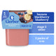 Gerber Stage 2 Baby Food Banana Blackberry Blueberry Puree Tubs Baby Puree