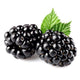Organic Blackberries Package
