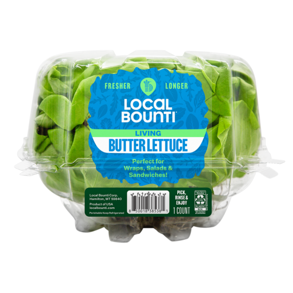 Local Bounti Living Butter Lettuce