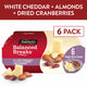 Sargento Balanced Breaks® White Cheddar Cheese, Sea-Salted Roasted Almonds, Dried Cranberries Snack Kit, 6-Pack